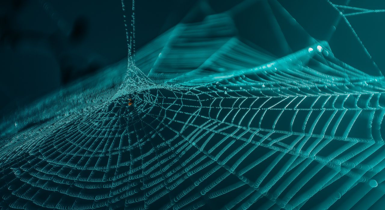 Enterprise Application Integration; Spider Web; Blue